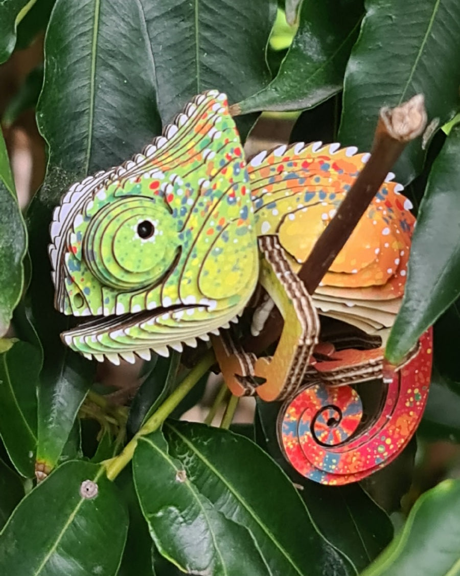 3D Cardboard Model Kit