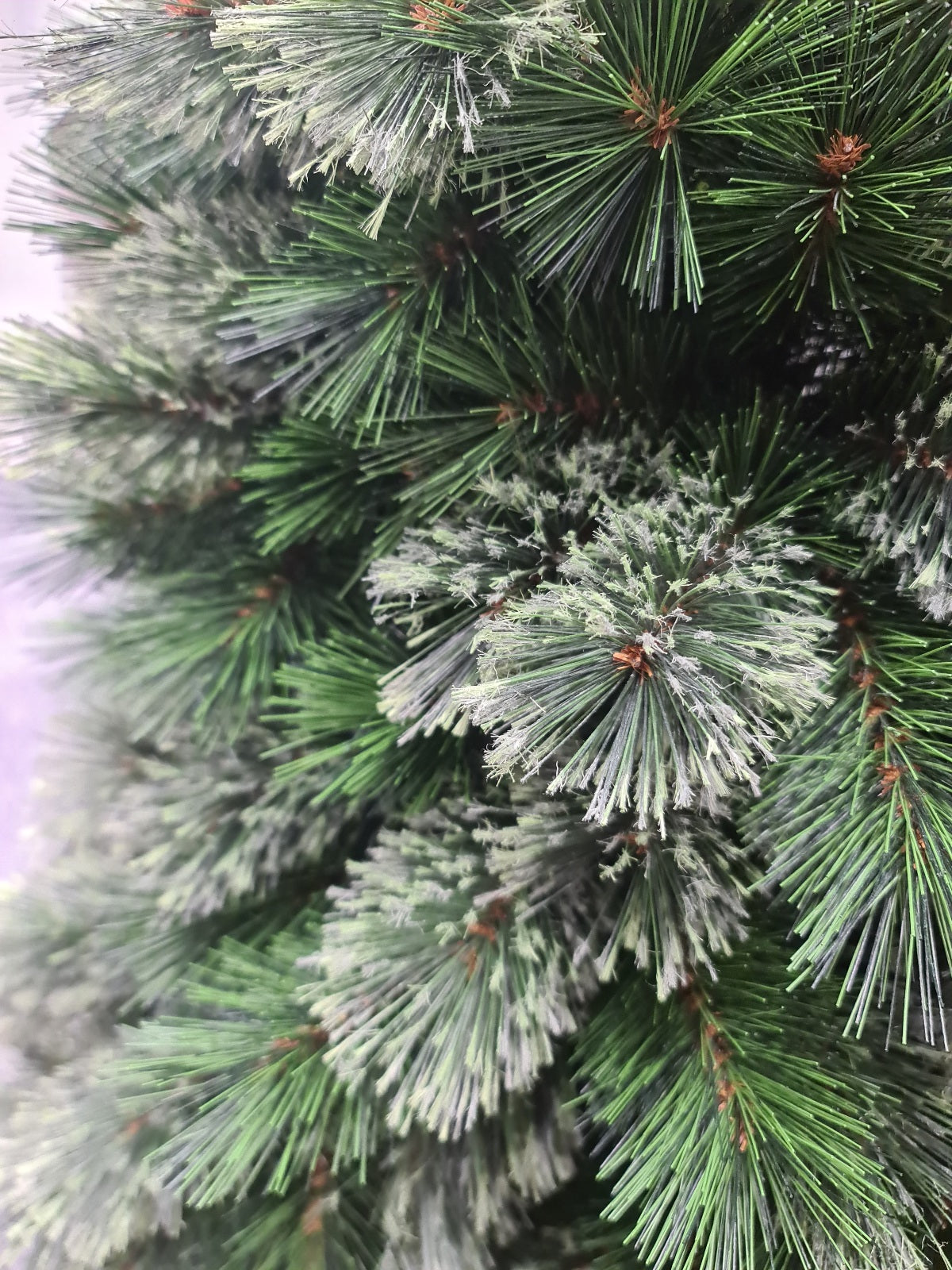 Alaskan Pine Christmas Tree