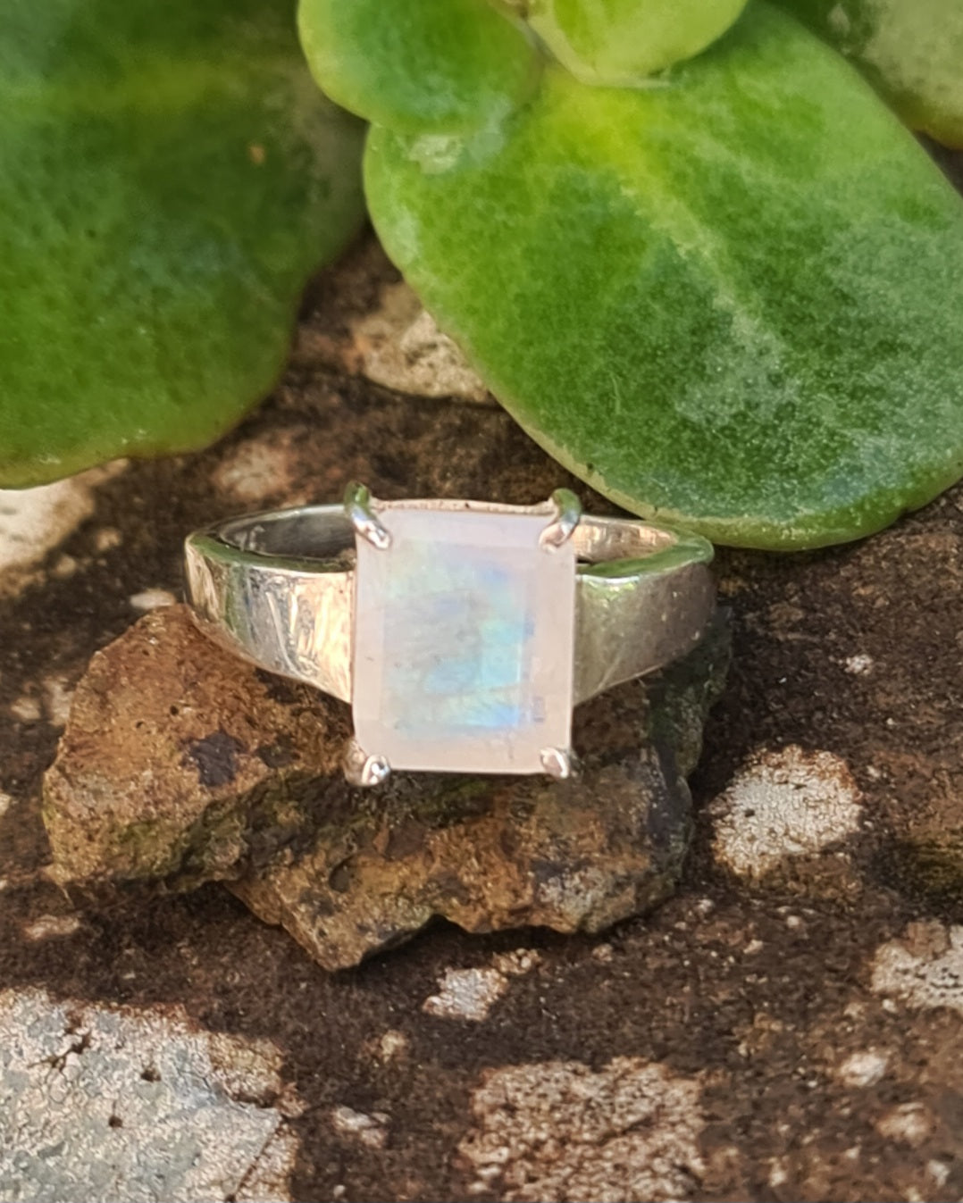 Ava Emerald Cut Moonstone Ring