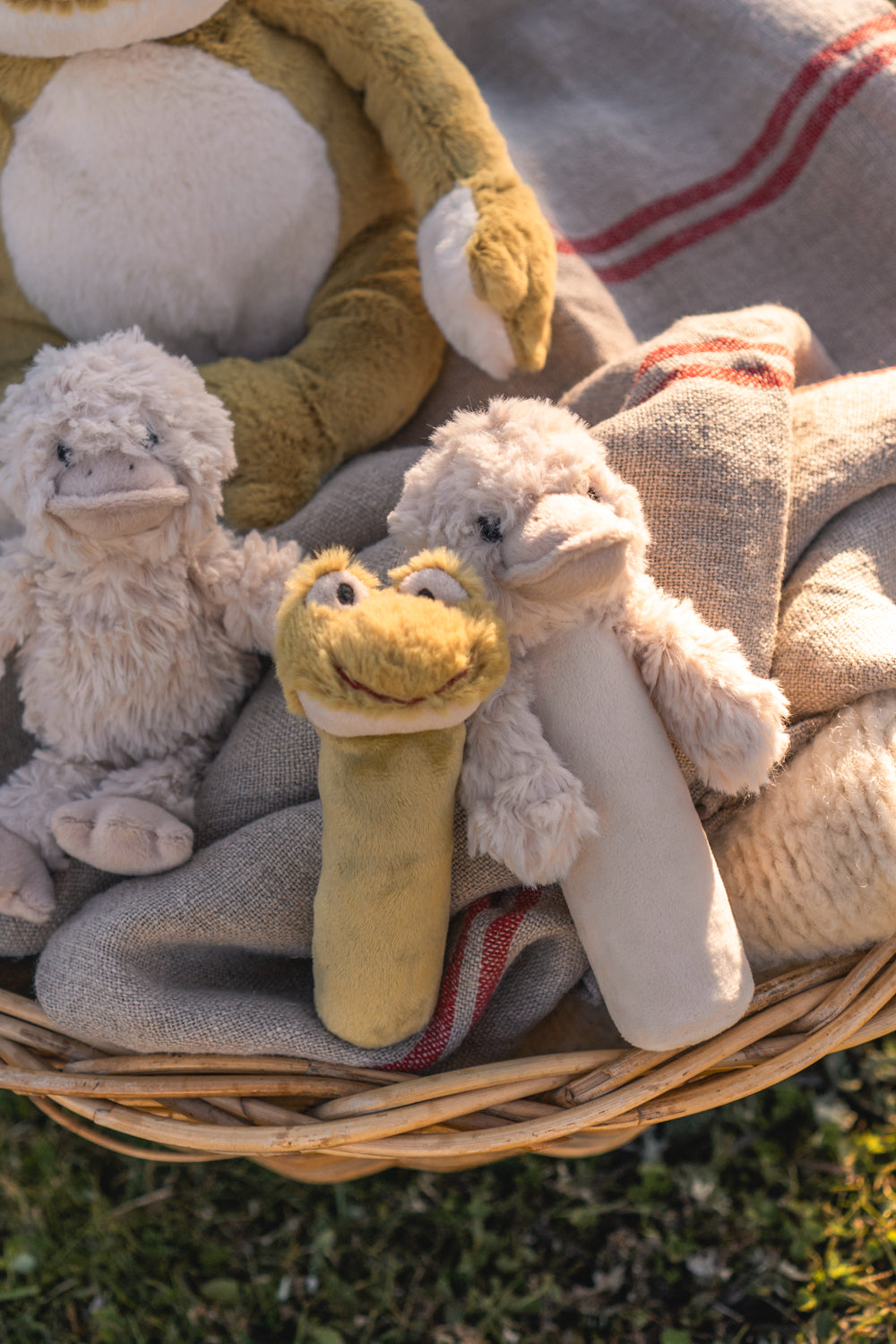 Bill the Duck – Rattle