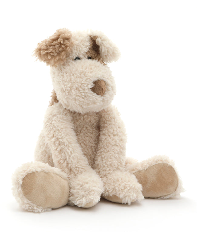 Buddy The Dog