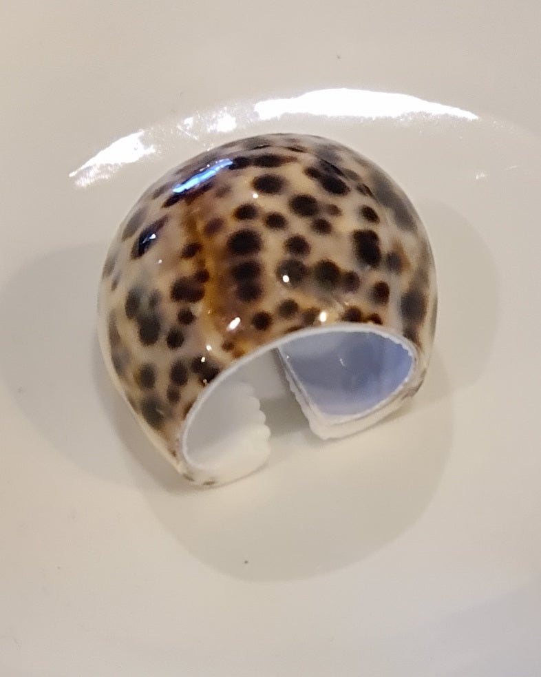 Cowrie Shell Napkin Ring – Coastal Elegance at the Table