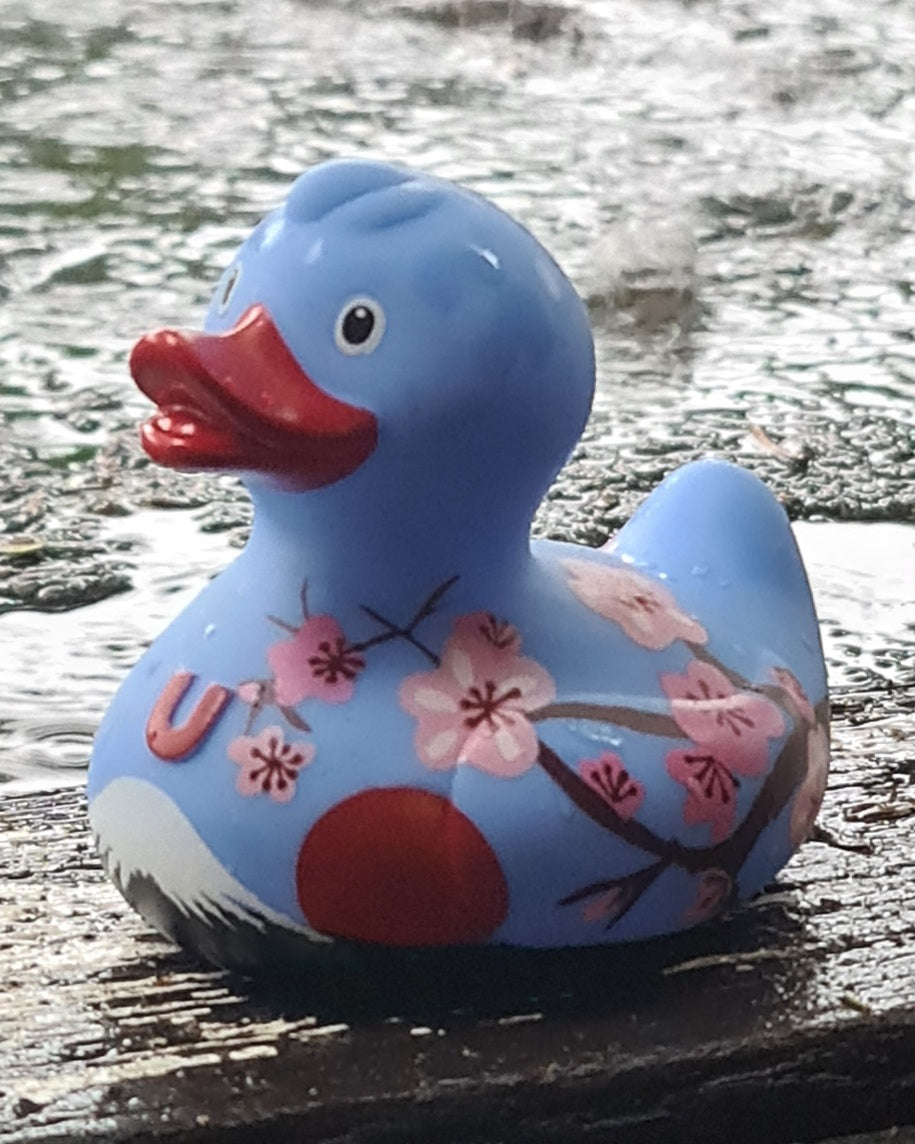 Cherry Blossom Duck