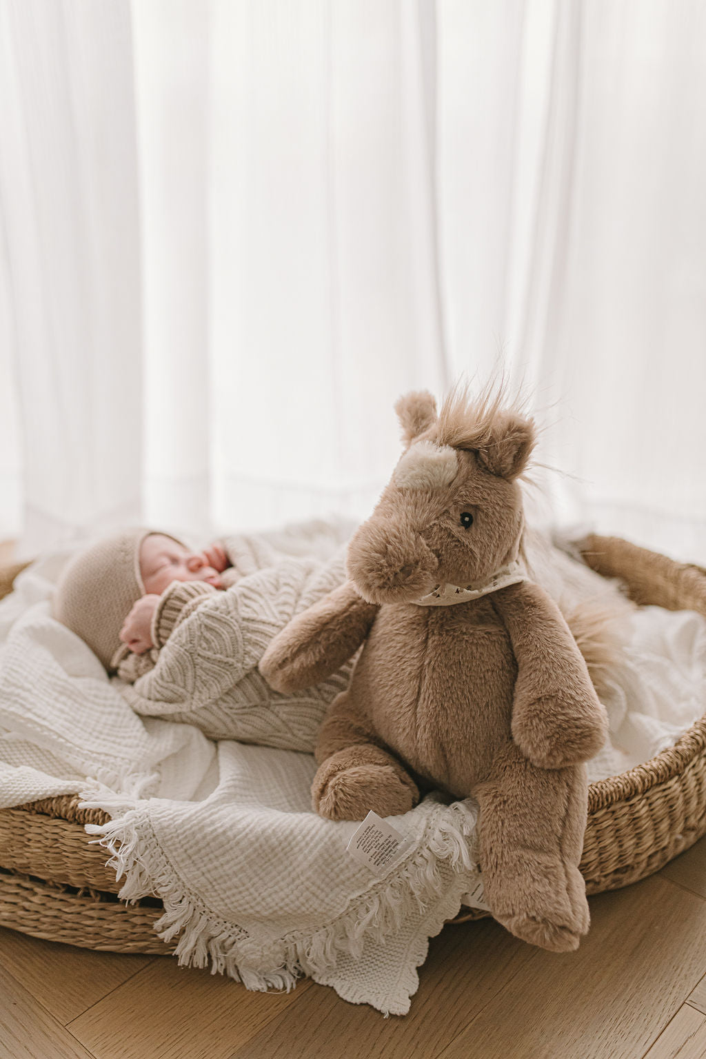 Harvey the Horse – A Gentle Farmyard Friend