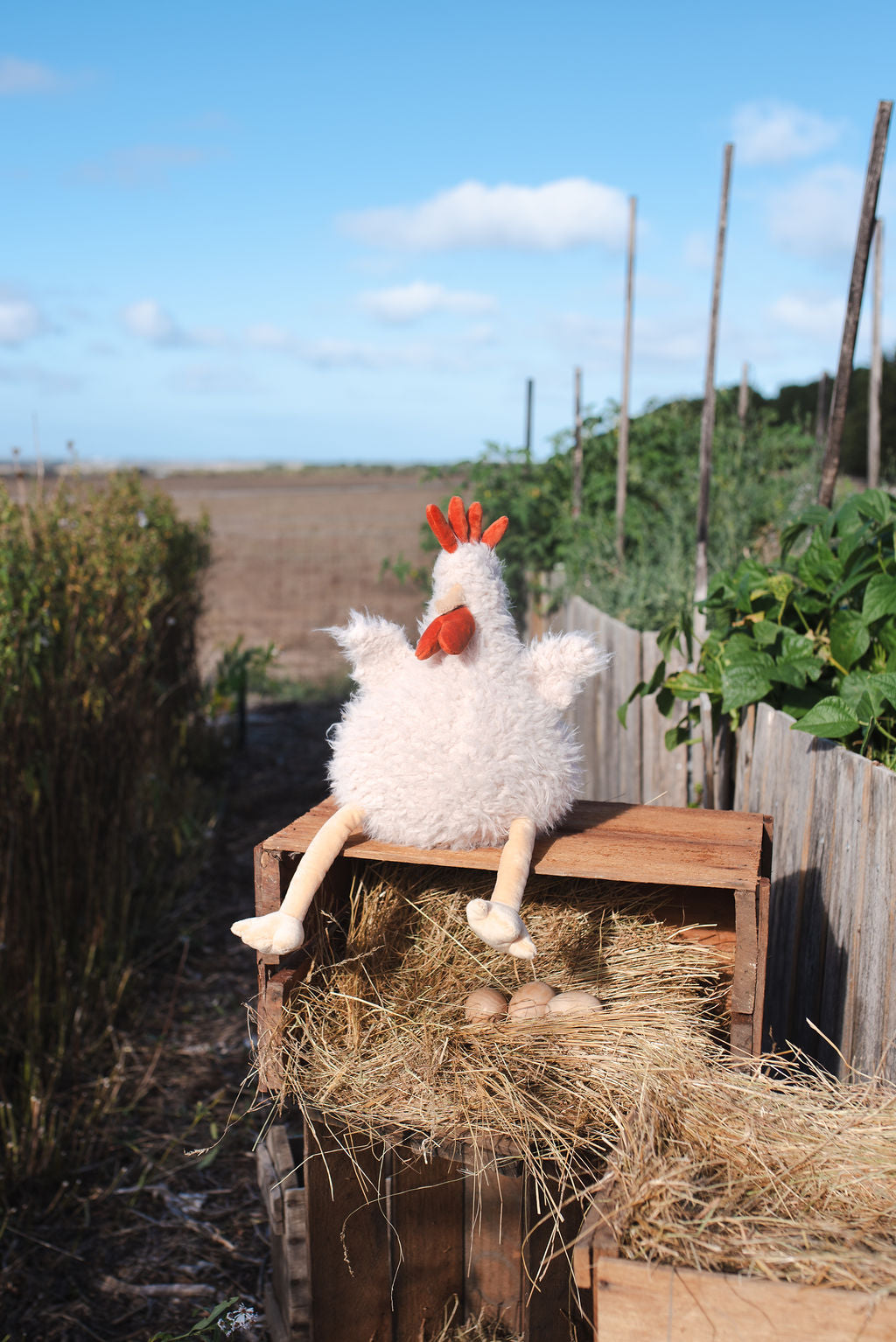 Henrietta the Hen