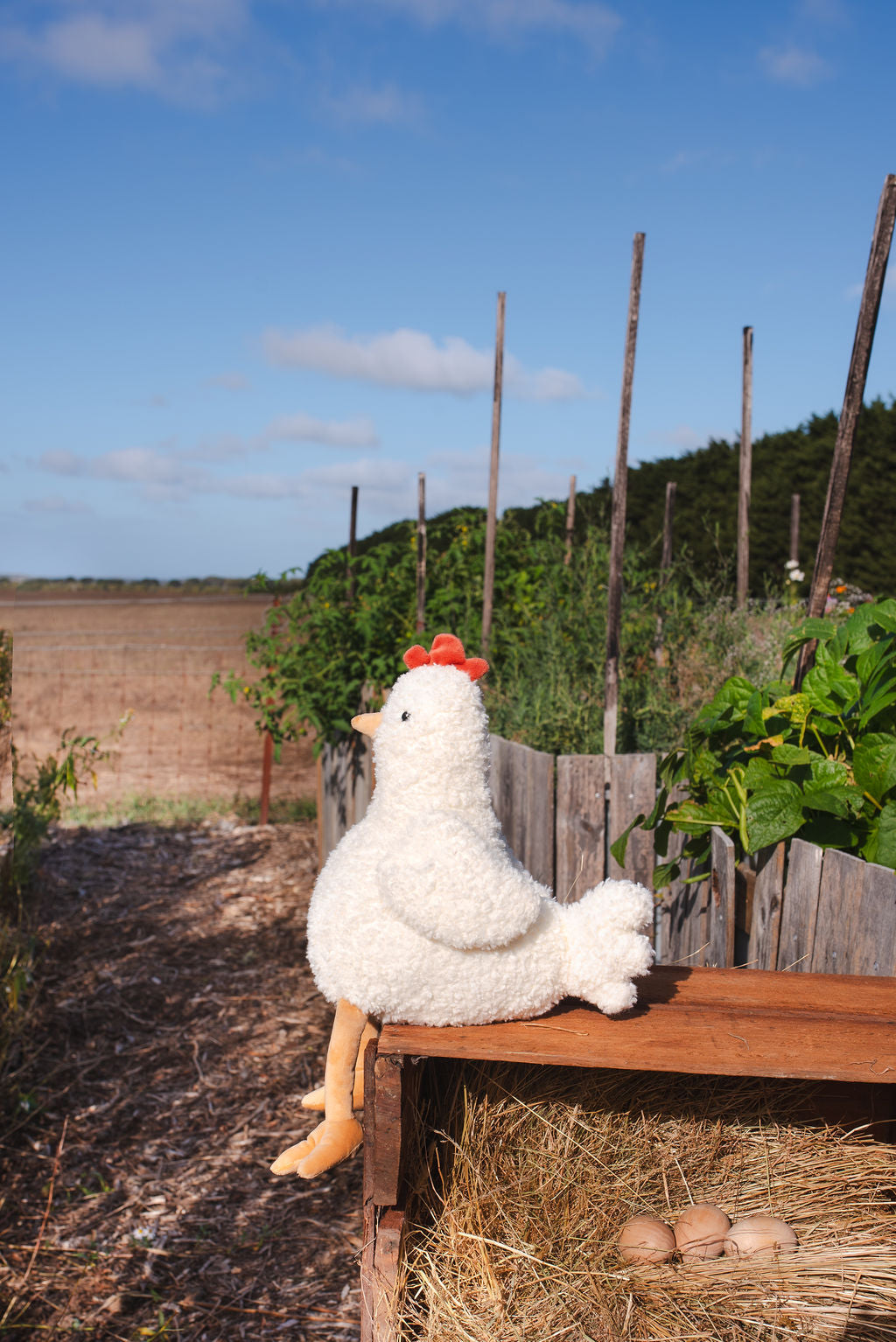 Henrietta the Hen