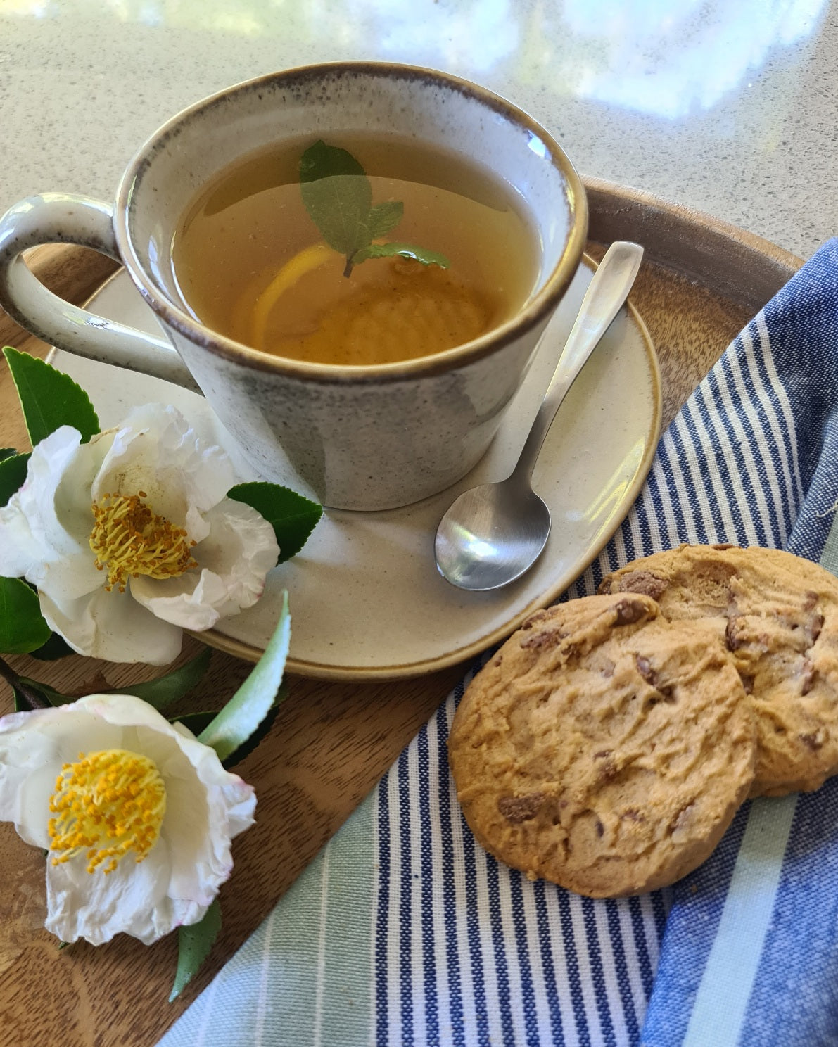 Theo Ceramic Cup and Saucer