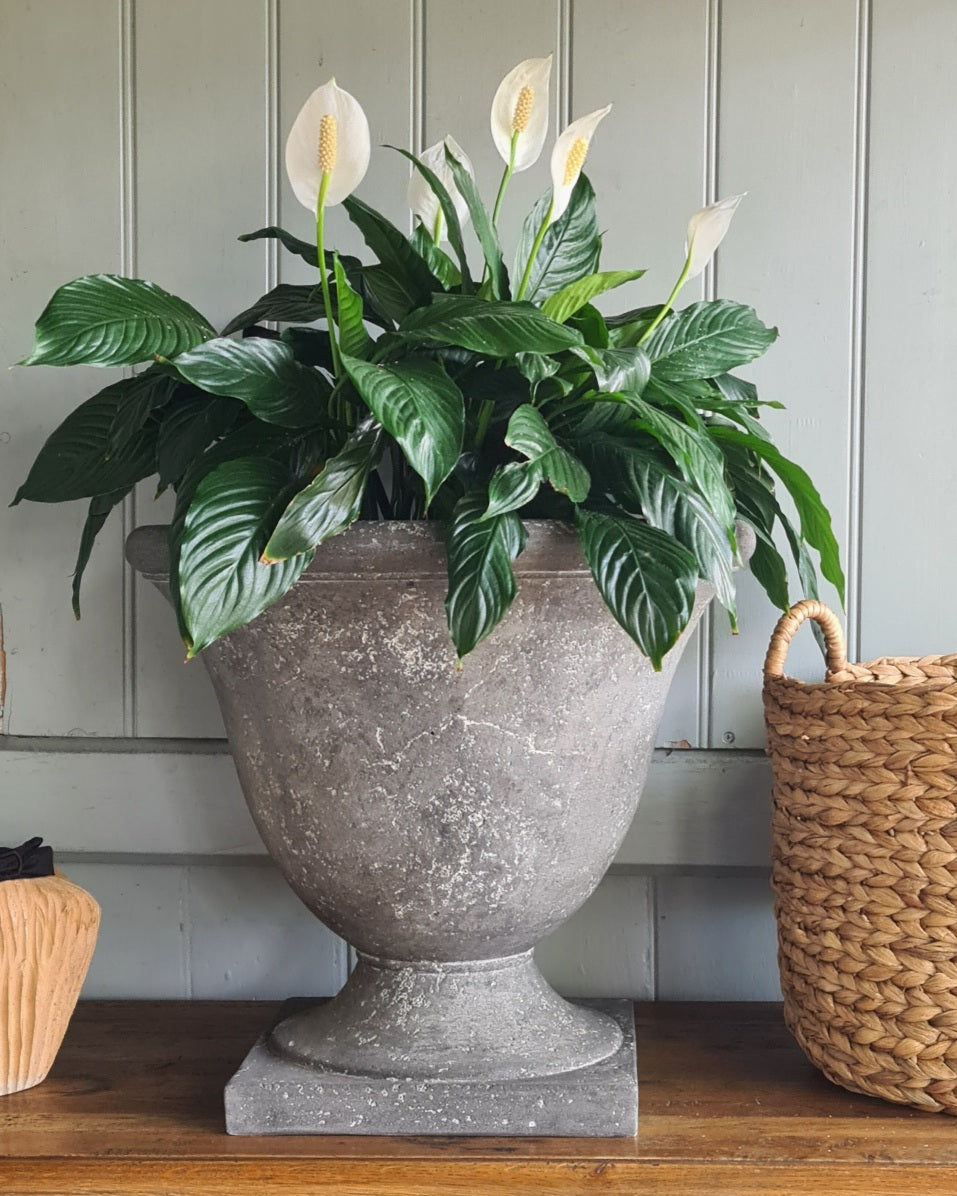 Footed Urn