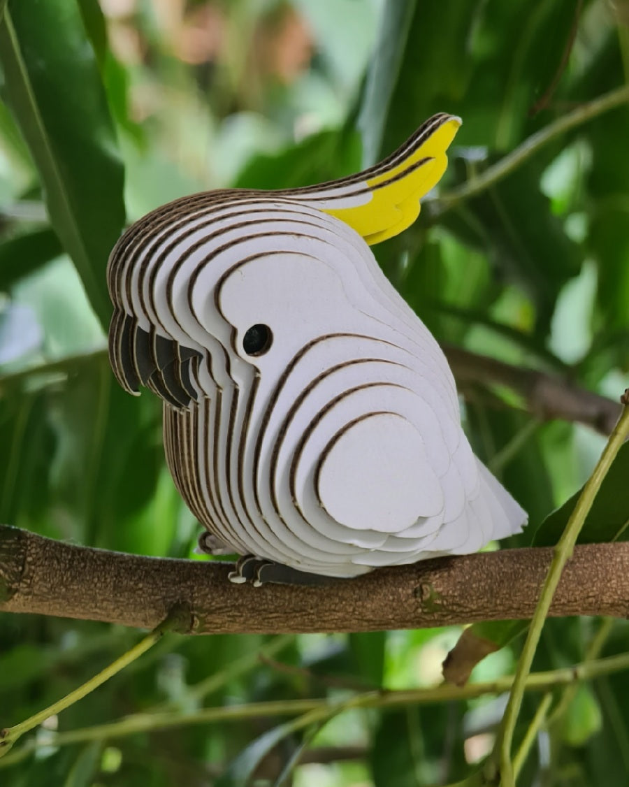 3D Cardboard Model Kit