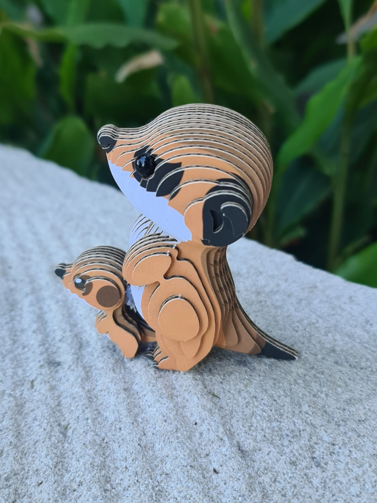 3D Cardboard Model Kit