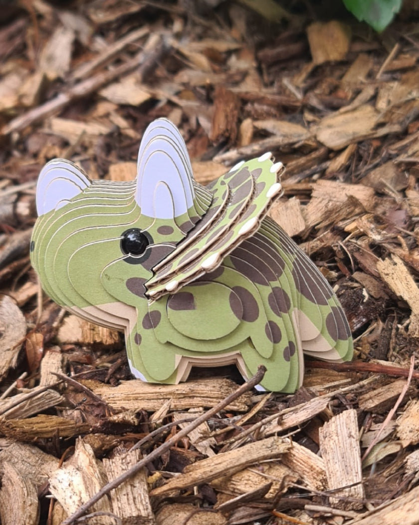 3D Cardboard Model Kit