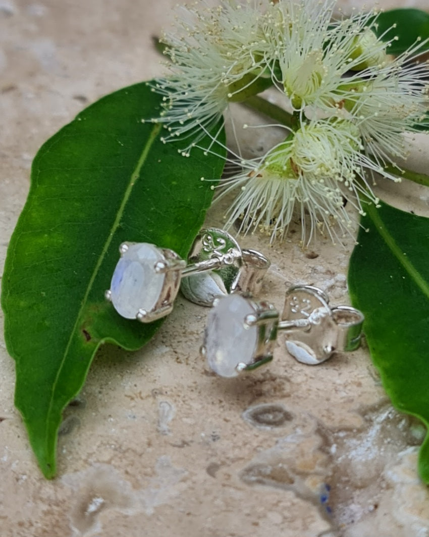 Aurora Facetted Moonstone Studs