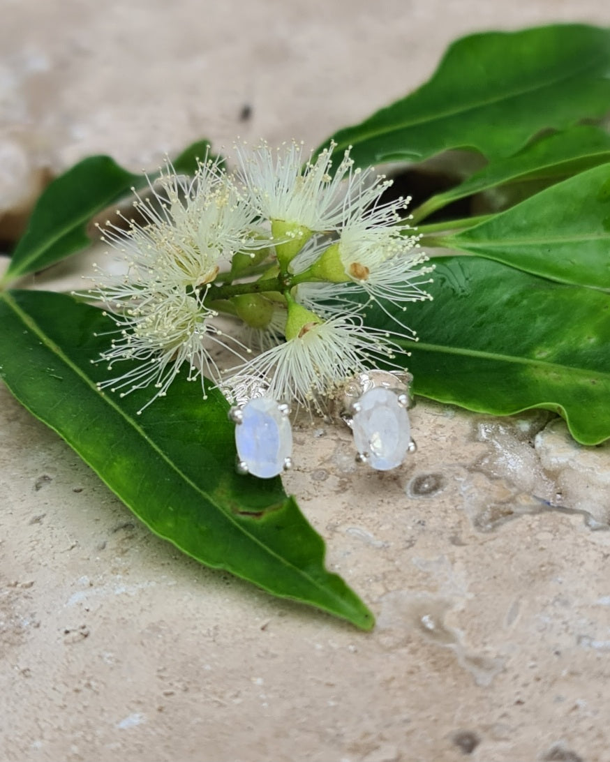 Aurora Facetted Moonstone Studs
