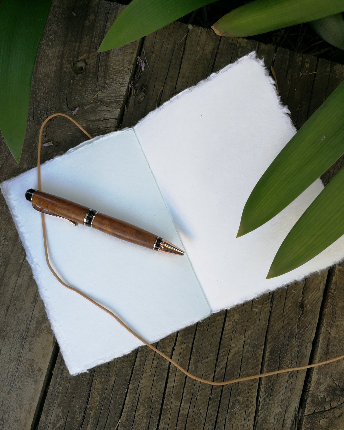 Australian Koala Canvas Journal