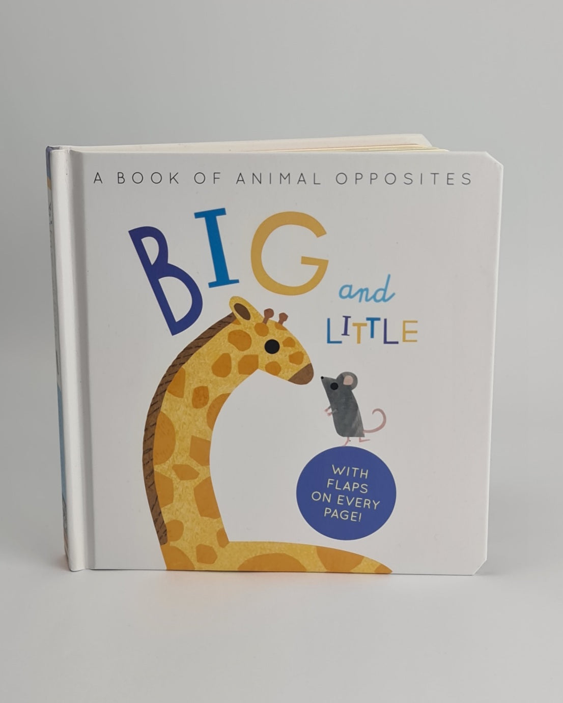 Big and Little – A Book of Animal Opposites