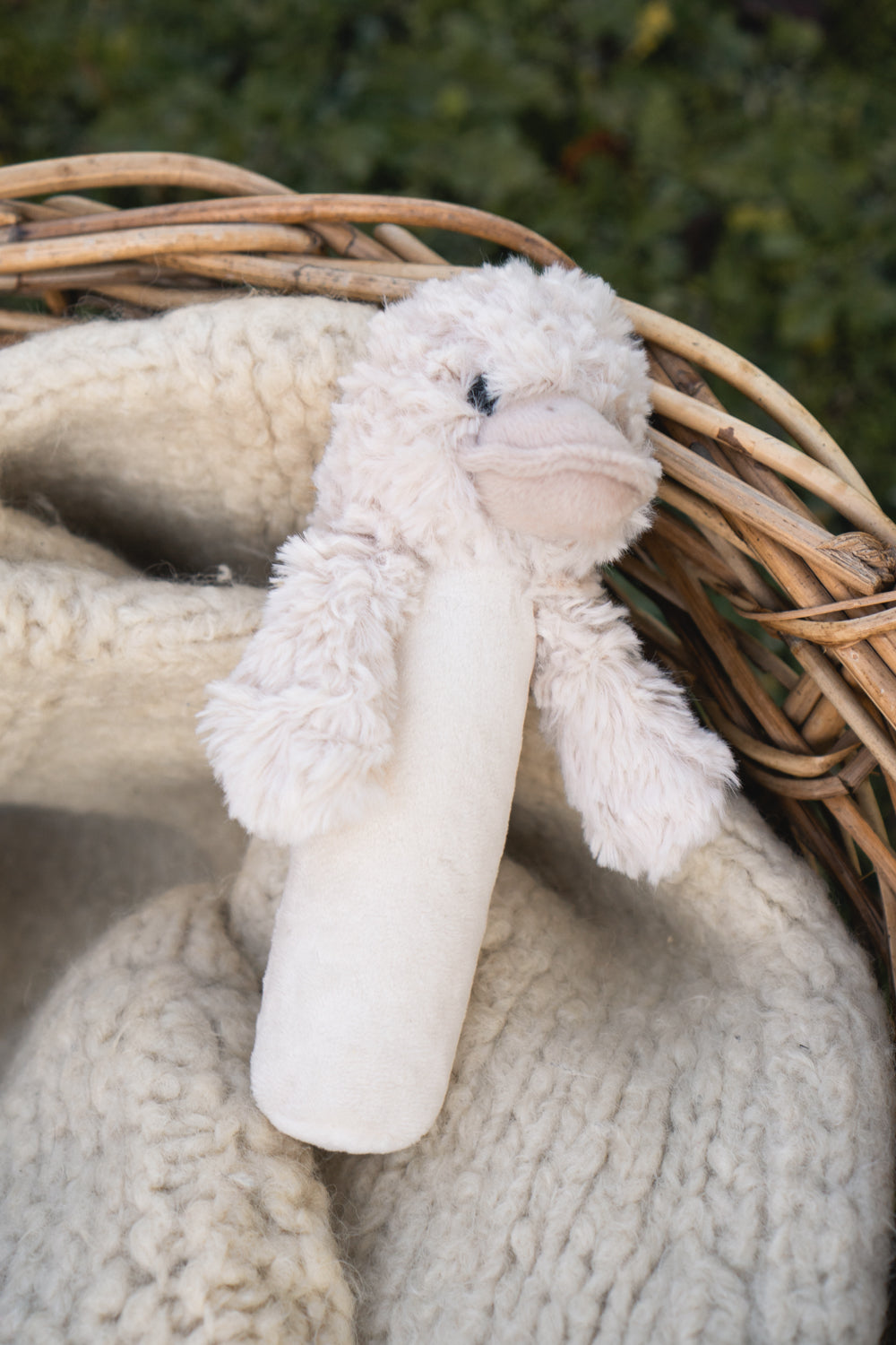 Bill the Duck – Rattle