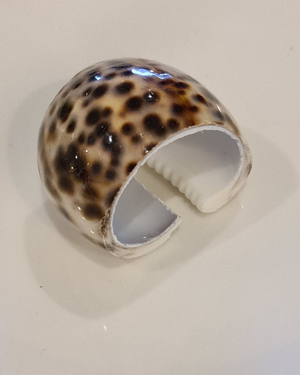 Cowrie Shell Napkin Ring – Coastal Elegance at the Table