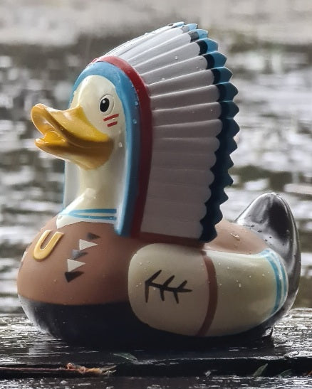 Chief Duck