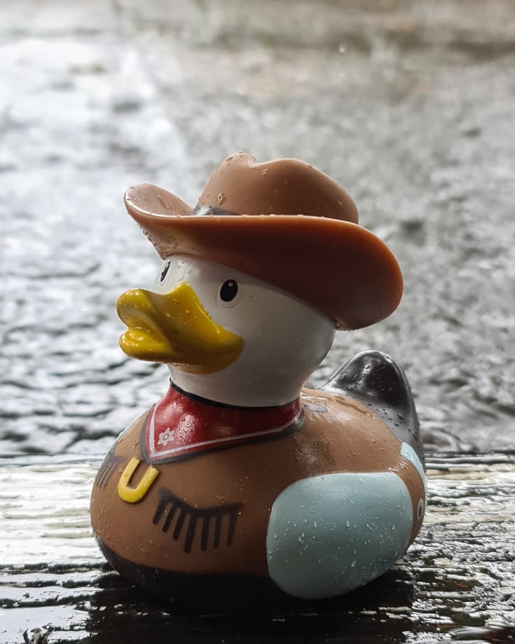 Cowboy Duck