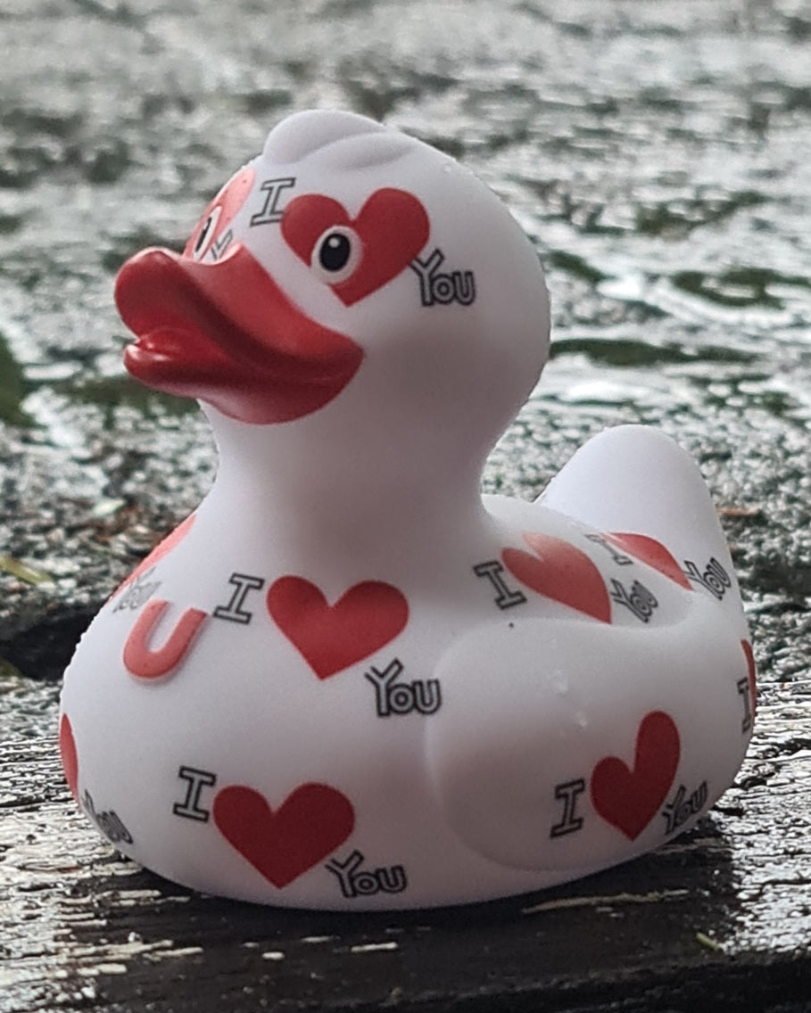 I Love You Duck