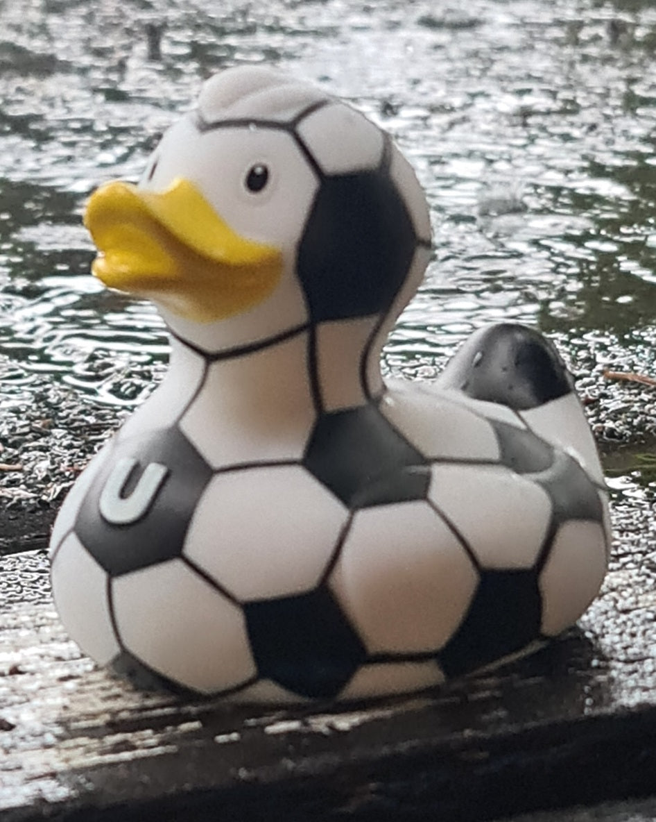 Soccer Duck
