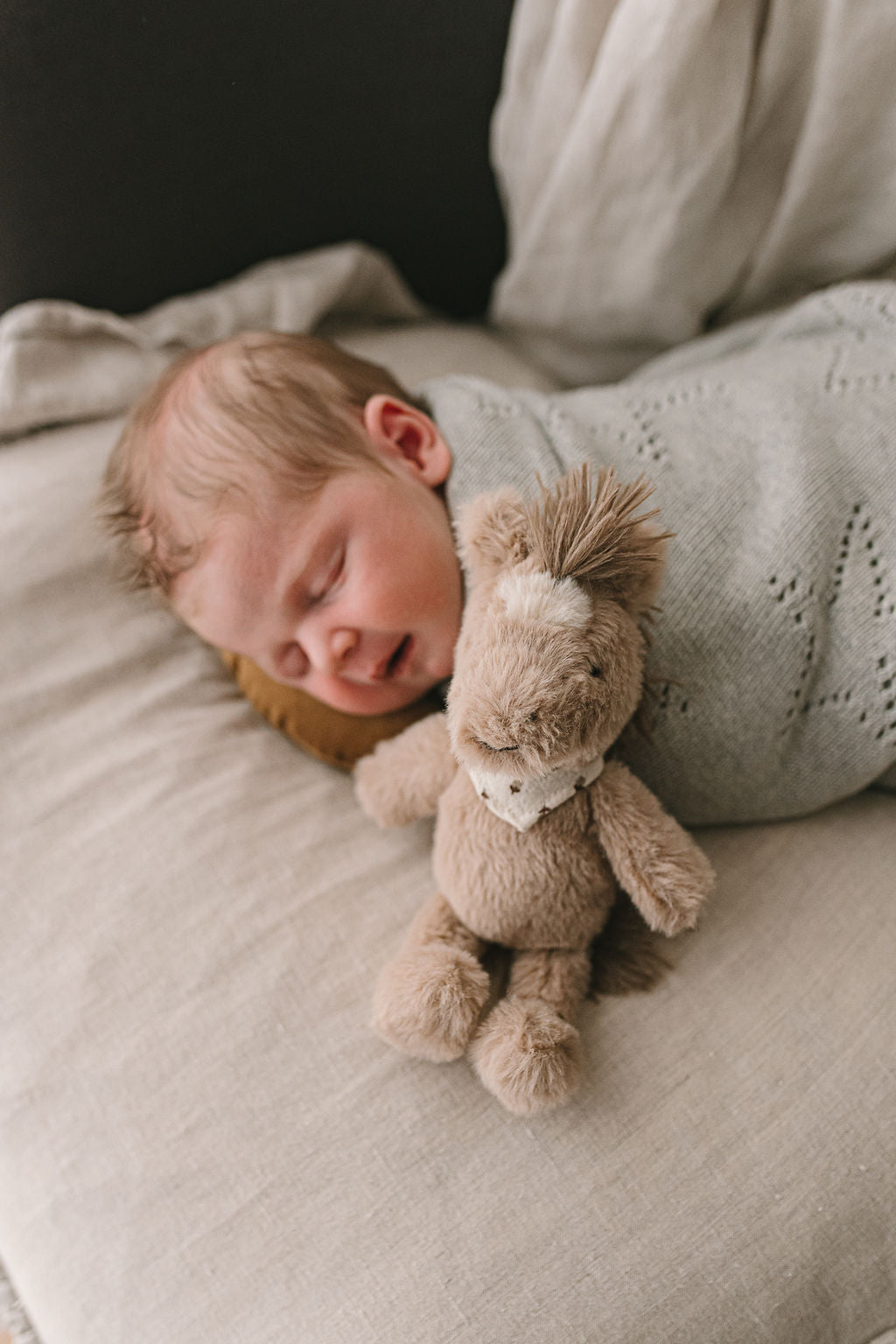 Harvey the Horse – Rattle