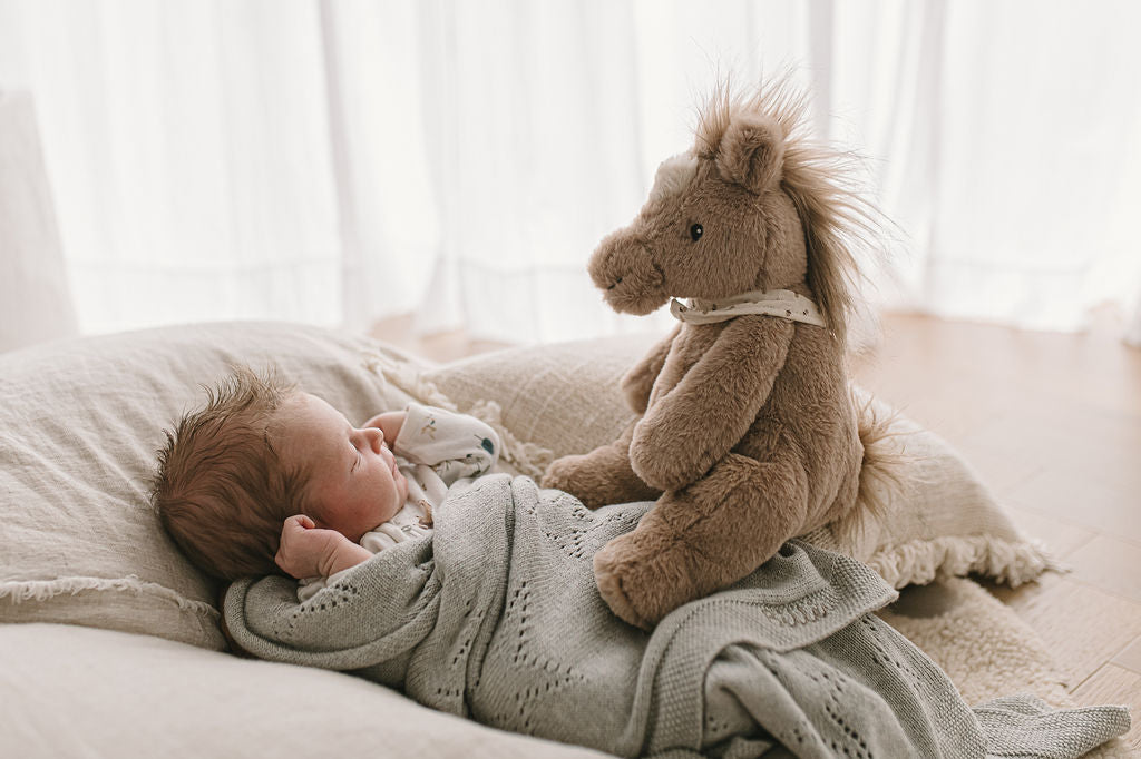 Harvey the Horse – A Gentle Farmyard Friend