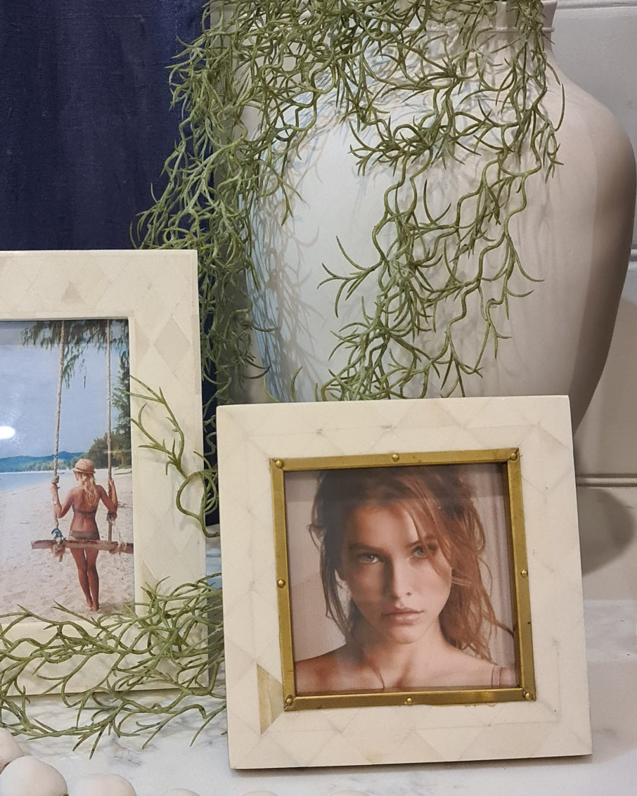 Bone and Brass Photo Frame