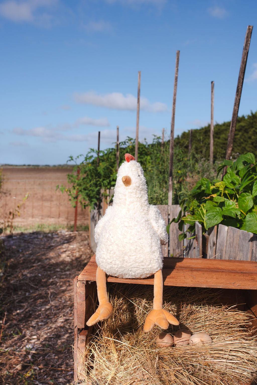 Henrietta the Hen