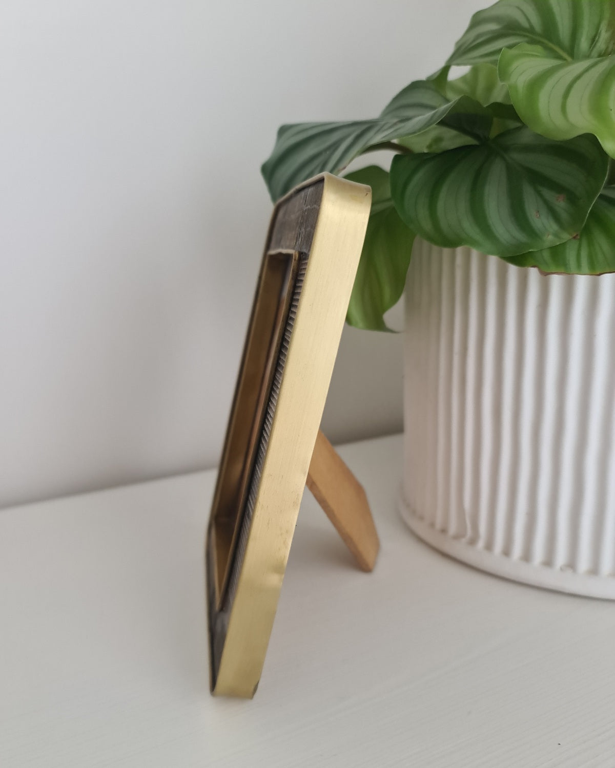 Josie Horn & Brass Photo Frame 4x6