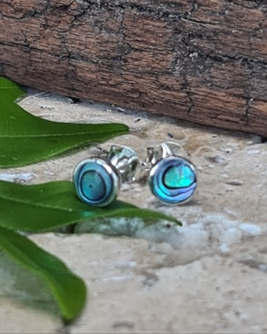 Paua Shell Stud Earrings