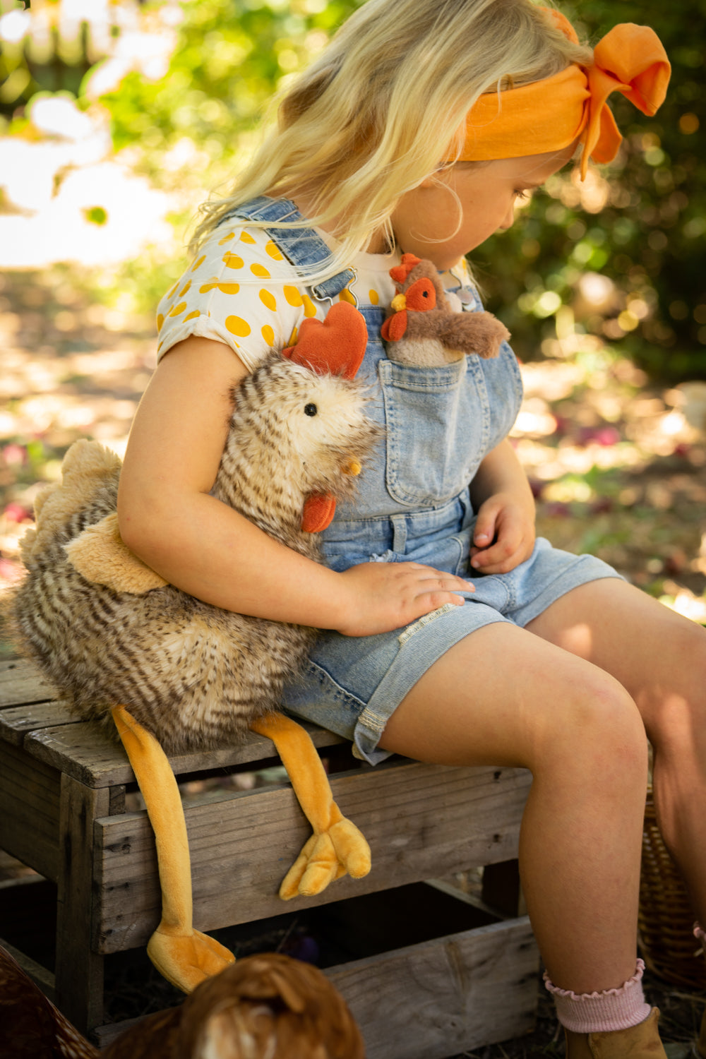 Rupert the Rooster – A Cheeky Farmyard Friend
