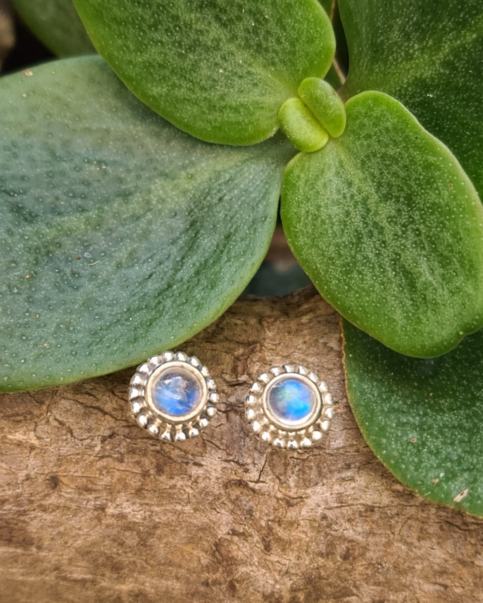 Tilly Moonstone Studs