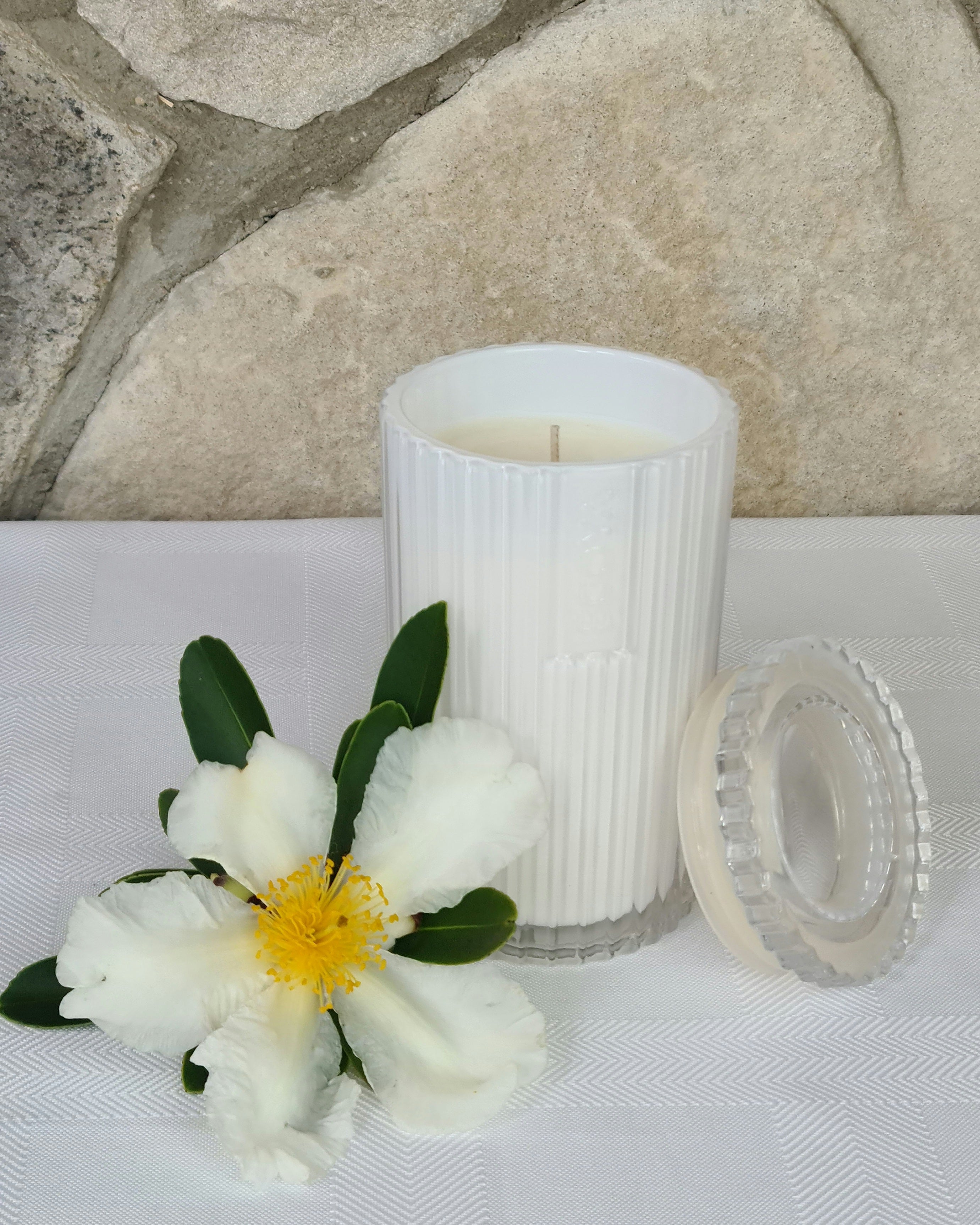 Celebration Candle - White Musk & Warm Vanilla