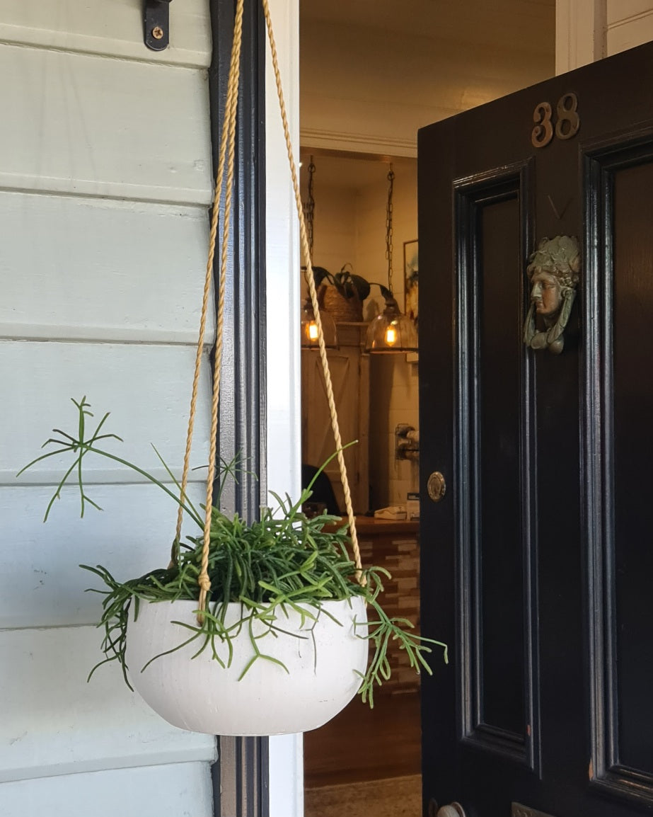 Willa Hanging Pot