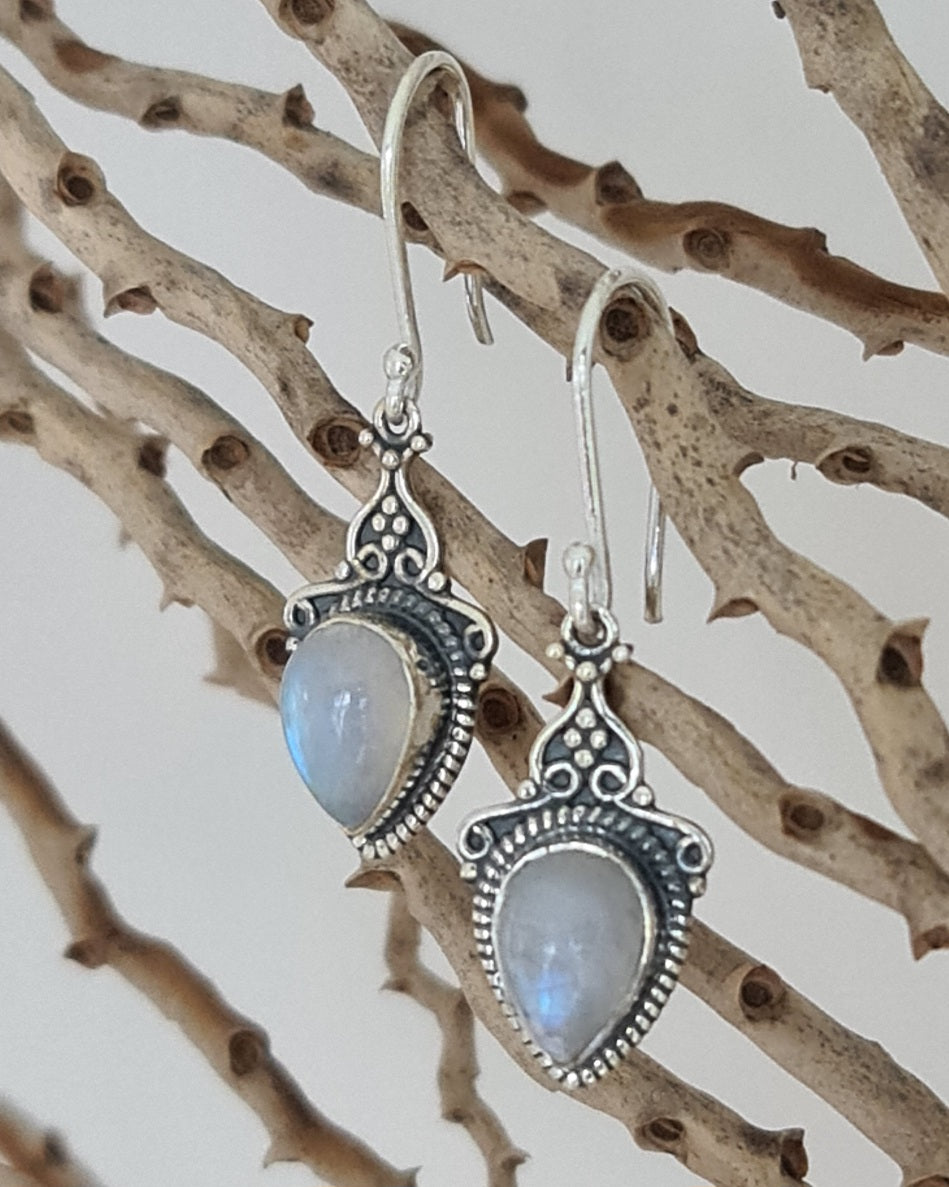 Zuri Moonstone Sterling Silver Earrings